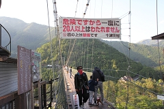 J݂̒苴